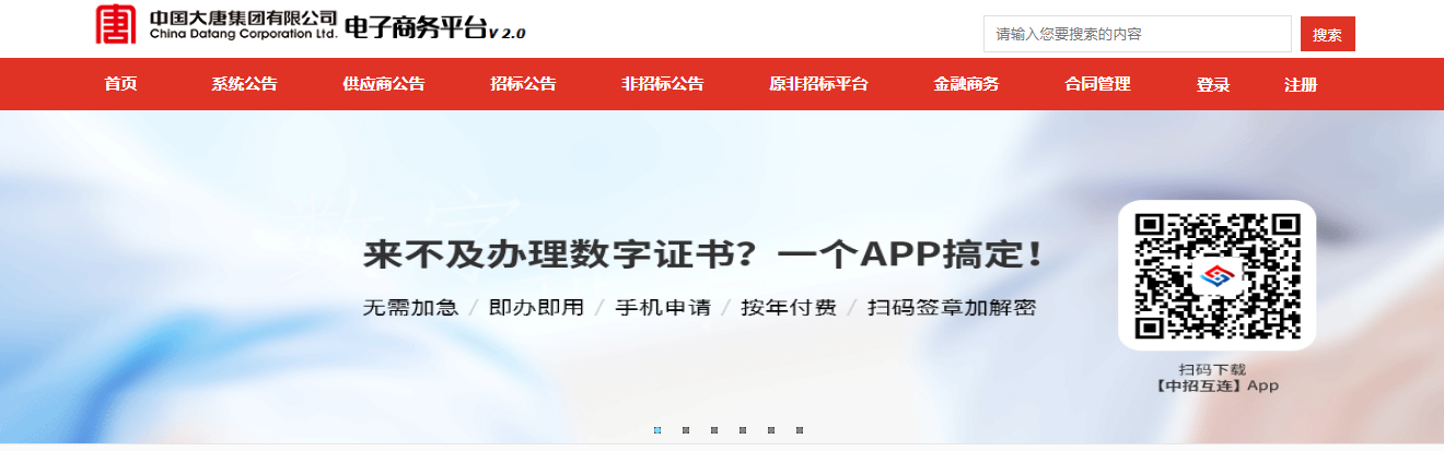 大唐集团电子商务平台 副本 拷贝.JPG